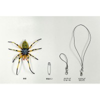女郎蜘蛛 ジョロウグモ 害虫対策 取寄品の3枚目