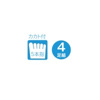 クールメッシュ サラシ カカト付 5本指 4足組 フリー 24.5～27.0 取寄品の2枚目